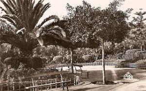 CN ea- 040- Petit Vichy